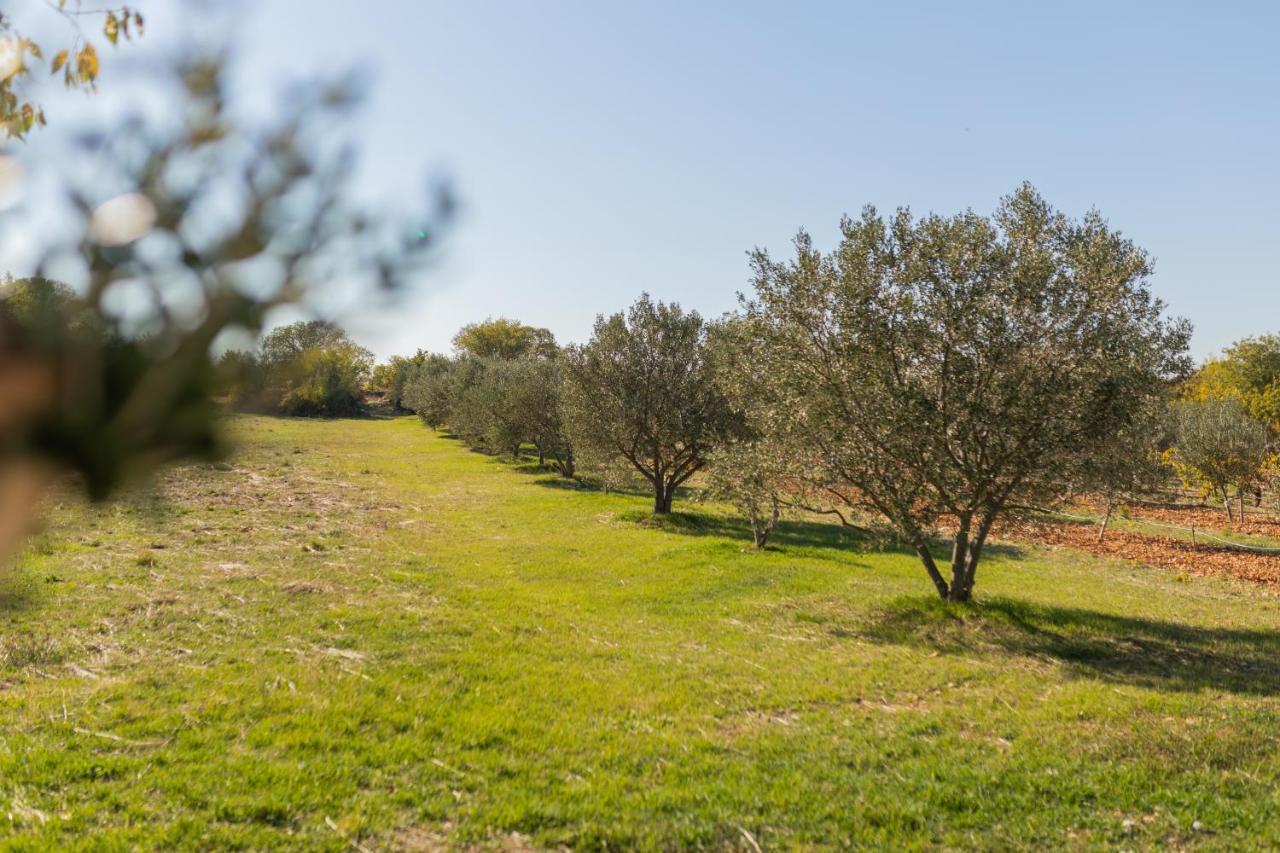 Anica&Jaglica Villa Bristane Exterior photo